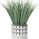 Hollyone Fake Grass Plant in Ceramic Pot Artificial Potted Plants Small Faux Plants for Home Decor Realistic Green Grass House Living Room Bedroom Bathroom Office Indoor & Outdoor Greenery Decoration (Power/Dusty Look)