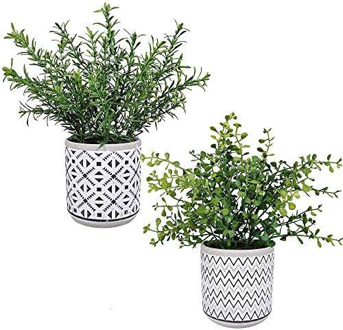 Winlyn 2 Pack Small Potted Eucalyptus Plant Artificial Plants Green Boxwood Rosemary Greenery in Modern Concrete Plant Pots
