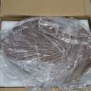 42-INCH Tropical Outdoor Ceiling Fan with Dimmable LED Light & Remote - Damp-Rated Palm Leaf Blades | Ultra Quiet DC Motor | 6 Speeds ideal for Patio Gazebo