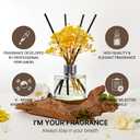 COCODOR Preserved Flower Reed Diffuser/White Jasmine/6.7oz/2Pack / Home Fragrance Scent Essential Oil Stick Diffuser for Bedroom Bathroom Home Dcor