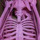 Watayo 5.5 Ft Halloween Pink Skeleton Large Decoration with Movable Joints
