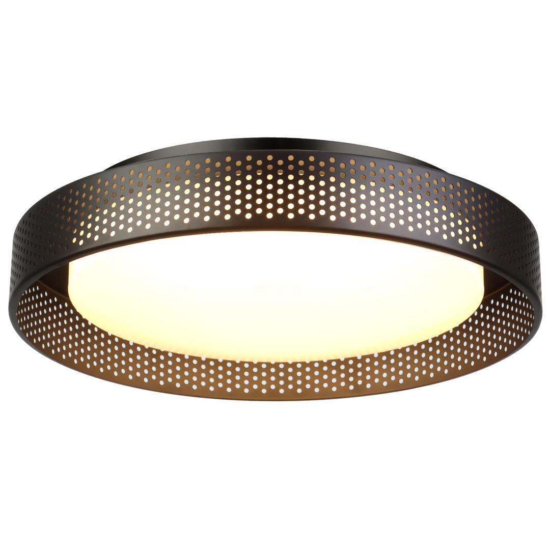 Dsyan HOME 13inch Rustic Flush Mount Ceiling Light Fixture,Black Cage Led Close to Ceiling Light, 24W Minimalist Dimmable 5CCT 3000-6000K Ceiling Lamp,for Bedroom,Kitchen, Laundry,Hallway