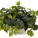Nearly Natural 6713 Pothos with White Wash Planter Decorative Silk Plant, Green,20.5" x 12" x 6"