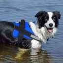 Dog Harness, No-Pull Reflective Dog Vest, Breathable Adjustable Pet Harness with Handle for Outdoor Walking - No More Pulling, Tugging or Choking (Blue, L)