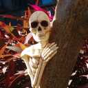 Crazy Bonez Skeleton Tree Peeker Outdoor Decoration