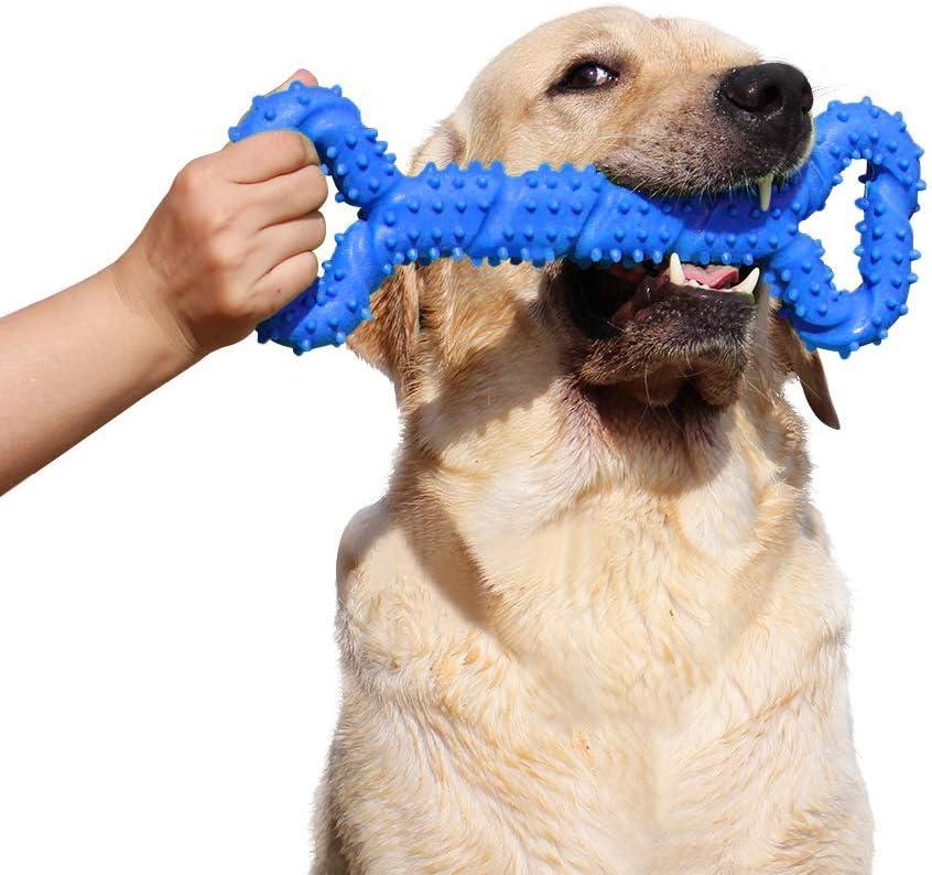Durable Dog Chew Toys 13 Inch Bone Shape Extra Large Dog Toys with Convex Design Strong Tug Toy for Aggressive Chewers Medium and Large Dogs Tooth Cleaning (Blue)