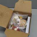 HOLA Baby Toys 6-12 Months Musical Dancing Duck Toy Set with Mama and Babys Tummy Time Toys, Crawling and Interaction Modes 1 Year Old Girl Boy Baby Stocking Stuffers