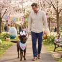Pet Easter Costume Set Dog Cowboy Hat with Bunny Ears & Easter Egg Bandana Puppy Rabbit Ear Headwear & Reversible Spring Scarf Accessories Holiday Party Photo Props for Medium to Large Dogs