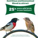 Kaytee Wild Bird Food Basic Seed Blend, 5 lb (EXP 08/04/26)