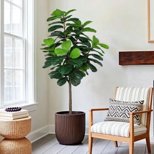 5Ft Artificial Fiddle Leaf Fig Tree Indoor for Home Decor