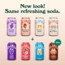 OLIPOP Prebiotic Soda Pop, Favorites Variety, Pantry Pack Packed with Prebiotics, Fiber, and Botanicals, Gluten Free, GMO Free, 12oz (12-Cans) (EXP 10/16/27)