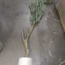 6FT Olive Tree Artificial Indoor with Natural Wood Trunk
Faux Olive Tree with Realistic Leaves , Lifelike Olives and Sturdy Base，Fake Olive Tree for Home Decor Office Living Room