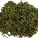 USMOLA Fake Moss for Potted Plants Indoor, 2LBS Large Capacity Artificial Green Moss for DIY Crafts, Faux Moss for Table Centerpieces Fairy Garden Terrariums Decor (32OZ)