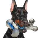 WinTour Tough Dog Toys for Aggressive Chewers Nylon, 2 in 1 Indestrctible Dog Toy to Keep Them Busy, Dog Bones for Aggressive Chewers Medium and Large Breeds, Beef Flavor (SharkBone-Gray)