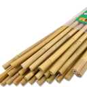 Jollybower 25pcs 1/2" D Thicker Heavy Duty Bamboo Stakes, 4FT Plant Stakes, Natural Garden Stakes for Tomato, Bean, Flowers,Trees Potted and Climbing Plant Support