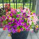 Yastouay 12 Bundles Artificial Flowers for Outdoors, UV Resistant Artificial Outdoor Flowers No Fade Fake Outdoor Flowers Plants for Garden Porch Window Box Farmhouse Pot Planters Decor (Fuchsia+Pink)