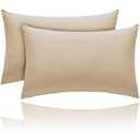 Pillowcases 2 Pack 20x30
