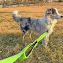 3 Handle Dog Leash, 10FT Triple Handle Reflective Stitching with Padded Traffic Handles, Heavy Duty Training Pet Lead for Control and Safety (Green)