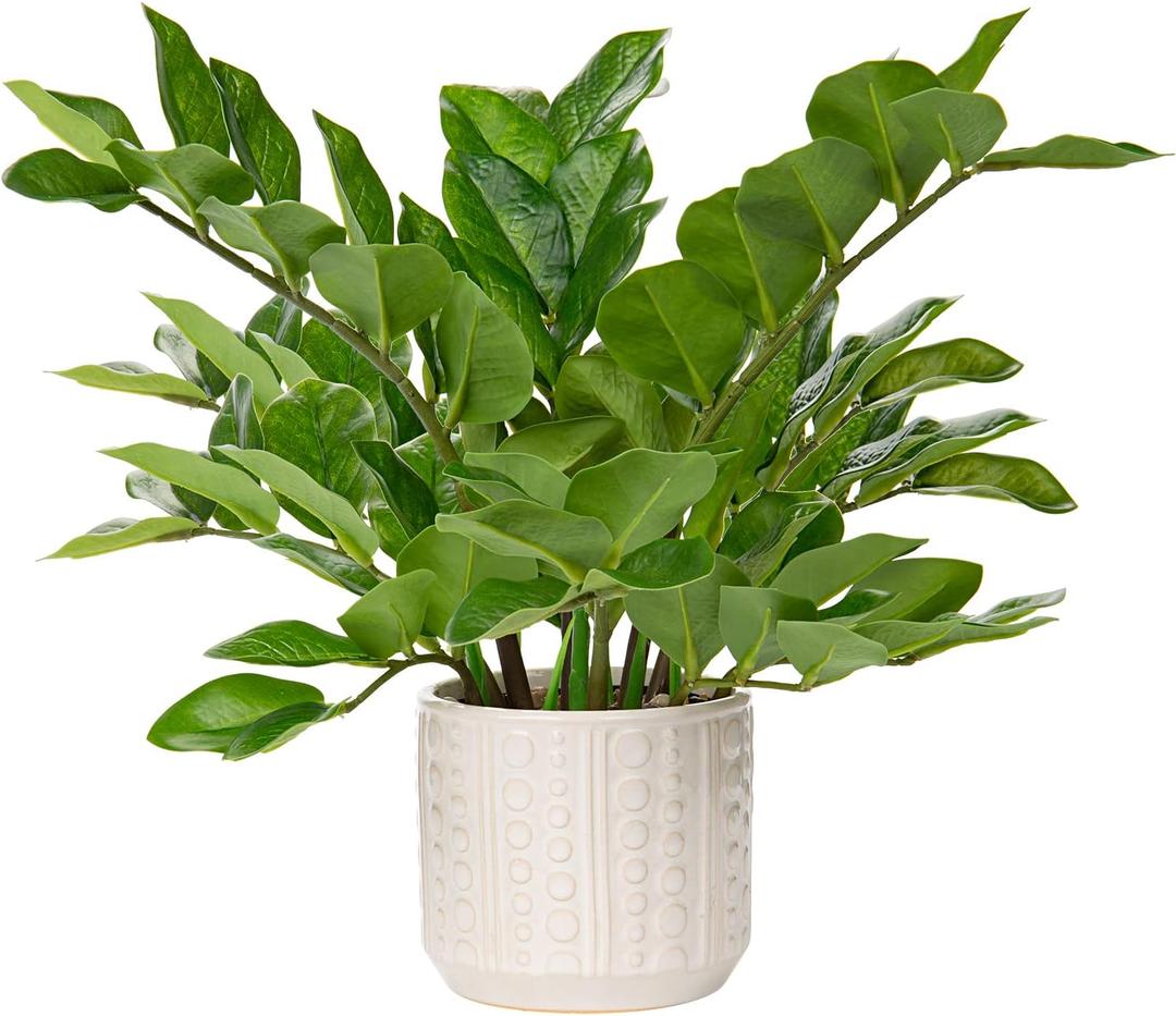 Briful Faux Plants Indoor 17" Artificial ZZ Plants in Ceramic Pot Fake Potted Zamioculcas Silk Plants for Home Table Decor Bedroom Aesthetic (1Pack)