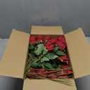 DREAMLOOM 50pcs Roses Artificial Flowers, Fake Roses Realistic with Long Stems Real Touch Silk Flowers Bouquet for Valentine's Day Wedding Anniversary DIY Floral Arrangement Gifts, Red