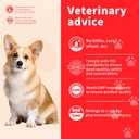 Premium Glucosamine Chewable for Dogs - Hip & Joint Supplement Dog Chews with Chondroitin MSM Omega-3 Support Mobiltiy and Joint Pain Comfort Improve Flexibility, Beef Flavor 100 Soft Treats