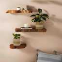 ecoliving 4 pack baskets