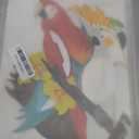 Spakon 9 Pieces Tropical Birds Honeycomb Paper Cutouts Rio Luau Party Hanging Decorations Rainforest Hanging Paper Birds Hawaiian Parrot Honeycomb Cutouts for Luau Party Decor