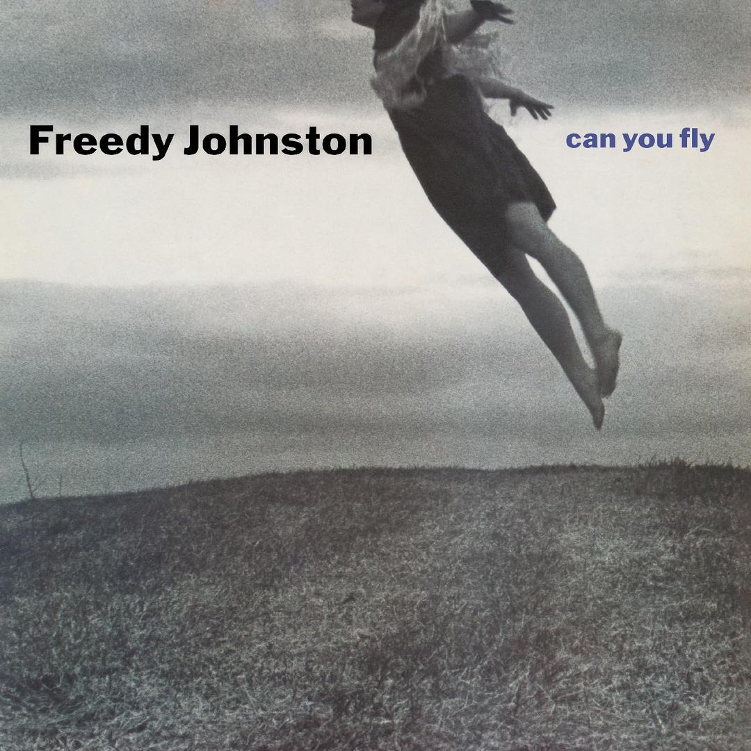 Can You Fly (CLEAR VINYL)