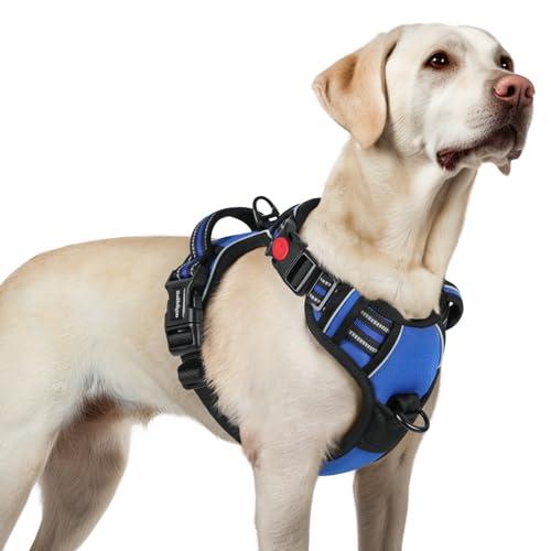 Rabbitgoo Dog Harness for Large, No Pull Pet Harness with 3 Buckles, Adjustable Soft Padded Vest with Control Handle, Walking Reflective Pet Vest for Dogs, Blue, L