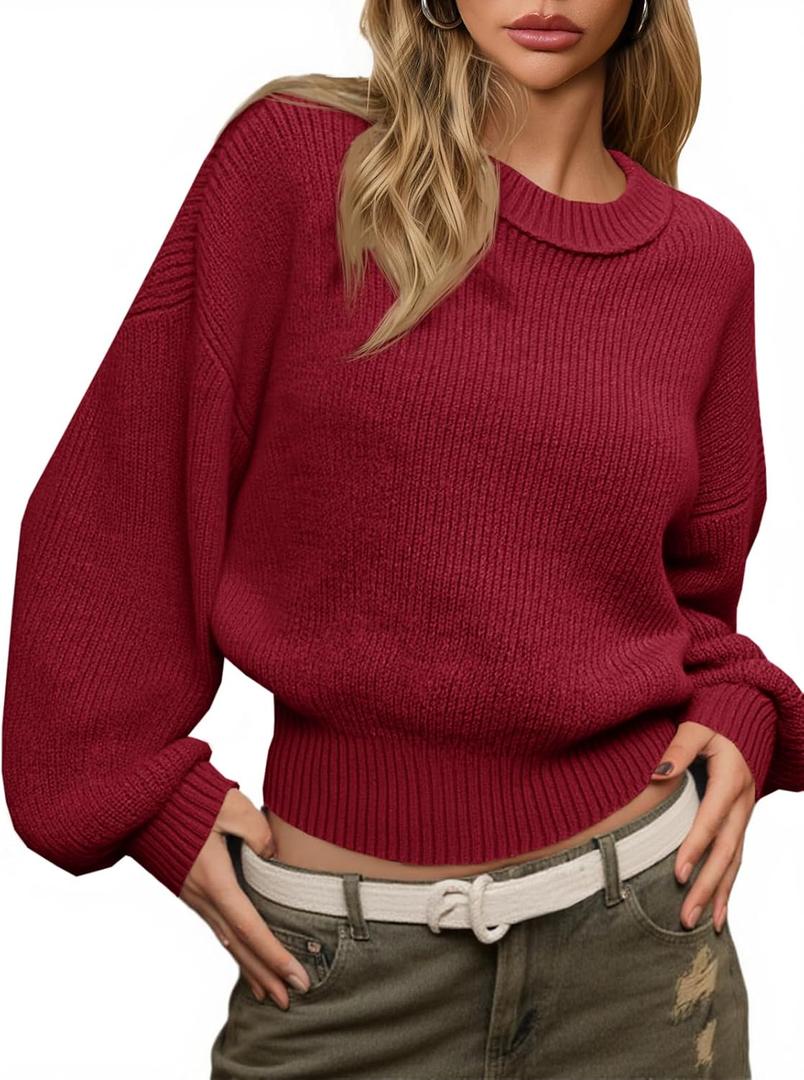 Saodimallsu Womens Batwing Long Sleeve Sweaters Casual Crewneck Loose Chunky Knit Fall Pullover Tops (L)