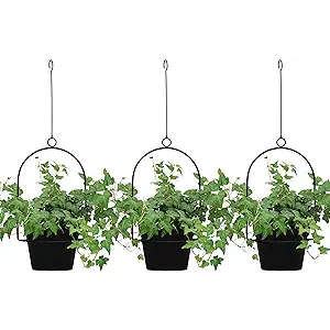 Gardzen 3 Packs Hanging Pots for Plants Outdoor & Indoor, Black Hanging Planter, Pot Hangers for Plant Flower