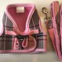 PUPTECK Soft Mesh Dog Harness and Leash Set Step-in Plaid Puppy Padded No Pull Vest Harness for XS Small Medium Sized Dogs Cats Outdoor Walking, Pink S