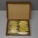 10'' Large Christmas Glitter Poinsettia Flowers Decorations, stadeco 10 Pcs Christmas Tree Picks Ornaments Artificial Flowers with Long Stems for Xmas Tree Wreath Garland Wedding Party DIY Decor (Gold)