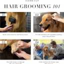 Tweezerman Pet Grooming Scissors, Stainless Steel Rounded Tip Trimming Shears for Dogs and Cats
