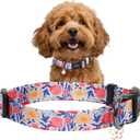 2 x Kazazoo Dog Collar Cute and Soft Nylon Puppy Collar Girl, Adjustable Dog Collars for Small Medium Dogs, Blue and Pink Flowers-S