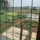 LFFH Wire Mesh Fence, 1.8X30m Square Mesh PVC Coated Green Fence Mesh Roll, for Garden Outdoors,Ordinary,2.3MM