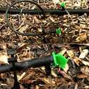 Lxcom Lighting 100 Pack 4 GPH Flag Drip Emitter Drip Emitters 16L/H Emitter Sprinkler Drippers System Parts Connect 4mm/7mm Hose for Lawn Vegetables Garden (Green)