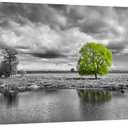 KREATIVE ARTS Canvas Wall Art Paintings Green Tree Landscape in Black and White Modern Giclee Framed Artwork Pictures for Living Room Decoration 40x20inch