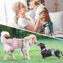 Langsprit Washable Female Dog Diapers (3 Pack) - No Leak Reusable Diapers for Doggy Female in Period - Highly Absorbent Dog Heat Panties with Adjustable Snaps Black, XL