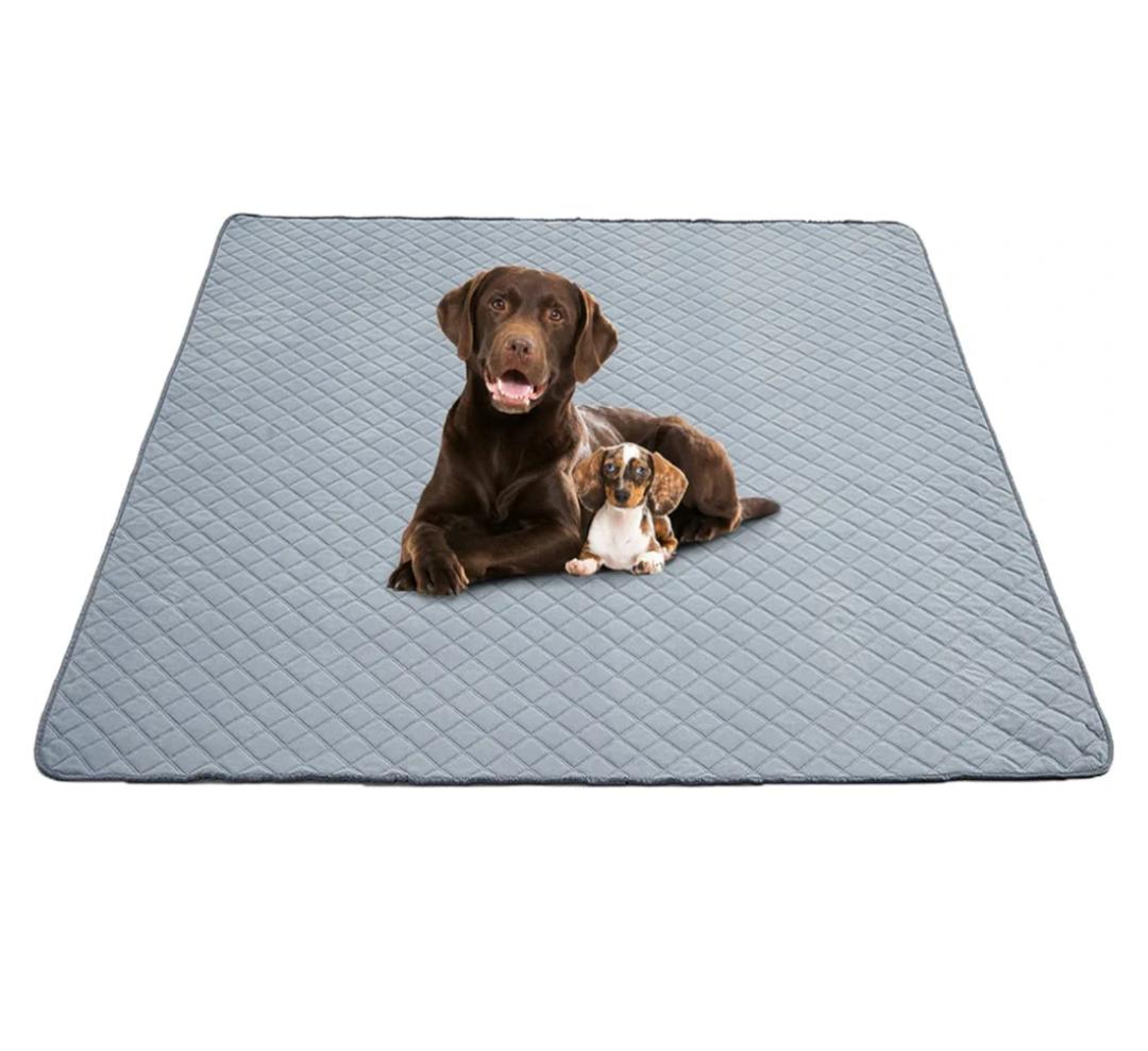 Eterish Reusable Washable Pee Pads for Dogs Extra Large 48'' x 60'' 2 Pack, Absorbent Pet Puppy Dog Training Pads Non-Slip, Waterproof Whelping Potty Pads for Dogs Leak-Proof