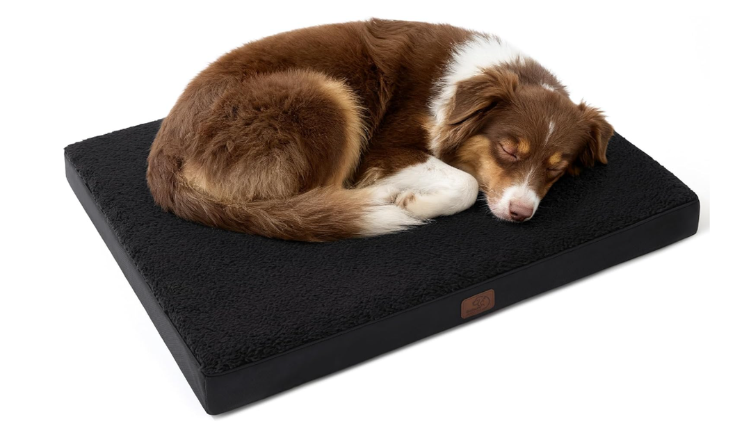 Bedsure Dog Beds Large Sized Dog - Comfy Flat Pet Beds with Removable Washable Cover, Orthopedic Egg Crate Foam Puppy Mat, Suitable for Pet Up to 65 lbs 