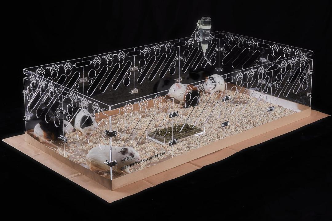 Acrylic Guinea Pig Cages - 4x2ft Small Animal Cage | DIY Extendable | Easy-to-Clean Disposable Bottom (Without Lid)