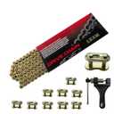 420 Motorcycle Gold Chain 132 Link Standard Roller Chain with Chain Breaker 10 Connecting Master Link for 100cc 110cc 125cc Dirt Pit Bike ATV Quad Go Kart Scooter