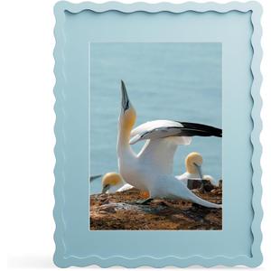 11x14 Picture Frame with Mat for 8x10, Wavy Edge Wooden Real Glass Photo Frame for Wall Hanging, Blue, 1 Pack
