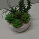 Briful Small Fake Plants Assorted Faux Succulents in Pots Realistic Succulents Plants Artificial with Cement Pots for Home Table Office Desk Bathroom Shelf Living Room Decor
