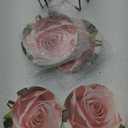 Roses Pink Rose Round Coasters Set of 6 - Abosrbent Ceramic Coasters with Metal Stand for Drinks, Coffee, Non-Slip Cork Back for Tabletop Protection, 4 Inches (Pink)