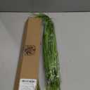 10PCS Fake Grass Filler Decor Artificial Grass Plants Outdoor Faux Plants Artificial Tall Shrubs Wheat Grass Greenery Stems UV Resistant Onion Grass For Outdoor Indoor Vase Planters Home Decor, Green
