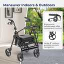 Drive Medical 795BK Duet Folding Transport Wheelchair and Rollator Walker, Black