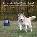 PetSafe Automatic Ball Launcher - Interactive Dog Toy for Enrichment - Tennis Balls Included - Motion Sensor Promotes Safe Play - Indoor & Outdoor - Adjustable Range - A/C Adaptor or Batteries