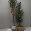 LuceAlberi 6FT Artificial Olive Tree - Indoor Tall Faux Olive Trees with Planter&Basket, Large Fake Olive Silk Tree Realistic Olive Plants with Branches and Fruits for Home Decor Office Living Room